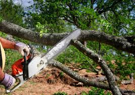 Landscape Design and Installation in Sinking Spring, PA